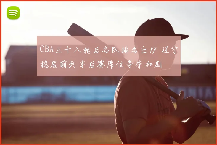 CBA三十八轮后各队排名出炉 辽宁稳居前列季后赛席位争夺加剧