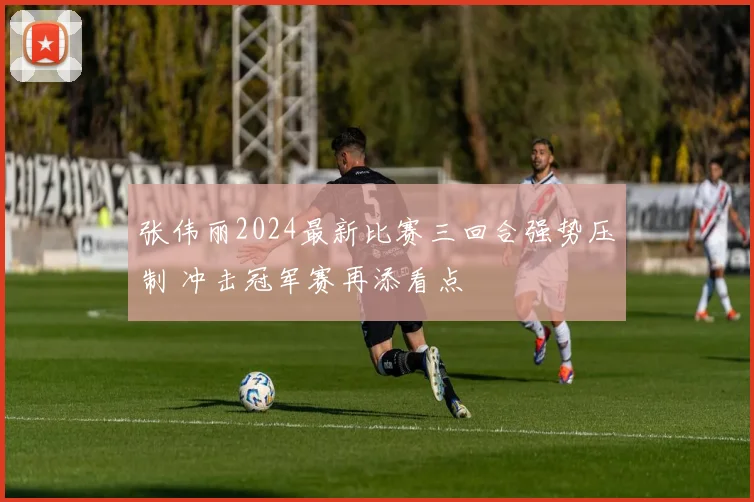 张伟丽2024最新比赛三回合强势压制 冲击冠军赛再添看点