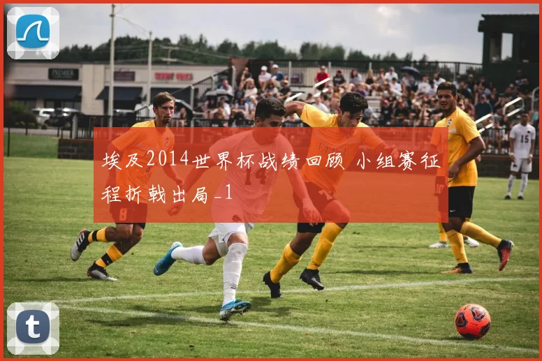 埃及2014世界杯战绩回顾 小组赛征程折戟出局_1